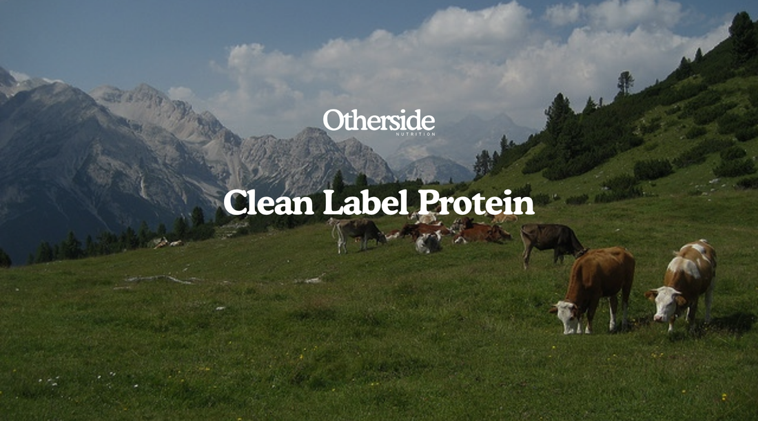What to Look For On The Ingredients List