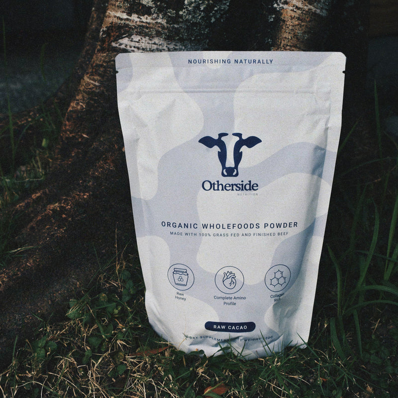 Grass-Fed Beef Protein Powder — Pouch Only