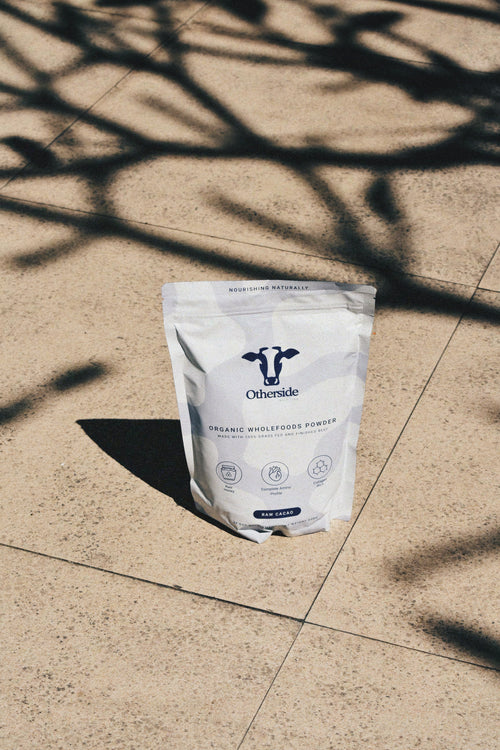 Grass-Fed Beef Protein Powder — Pouch Only