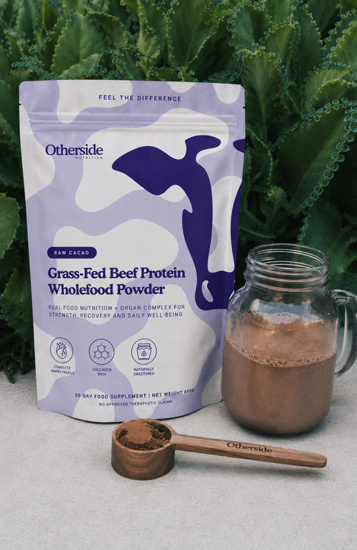 Grass-Fed Beef Protein Powder — Pouch Only